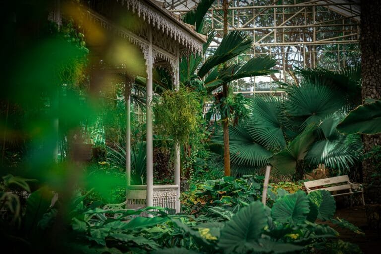 garden in bangkok